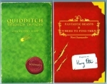 Quidditch Through the Ages-Fantastic Beasts & Where to Find Them