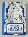 Harry Potter. Fantastic Beasts Postcard Colouring Book 1st Ed
