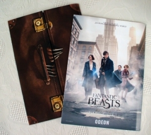 Fantastic Beasts And Where To Find Them Souvenir Ticket Holder